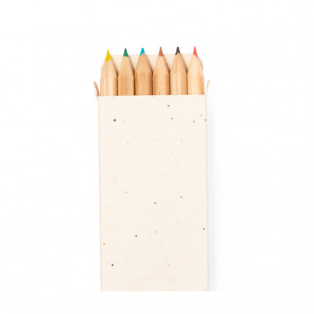 Crayons de couleur avec des graines dans un étui en carton pour dessiner
