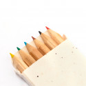 Crayons de couleur avec des graines dans un étui en carton pour dessiner