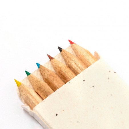 Crayons de couleur avec des graines dans un étui en carton pour dessiner