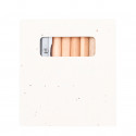 Crayons de couleur avec bloc à dessin graines et taille-crayon dans un étui en carton