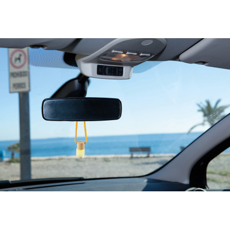 Désodorisant détaillé avec cordon de suspension