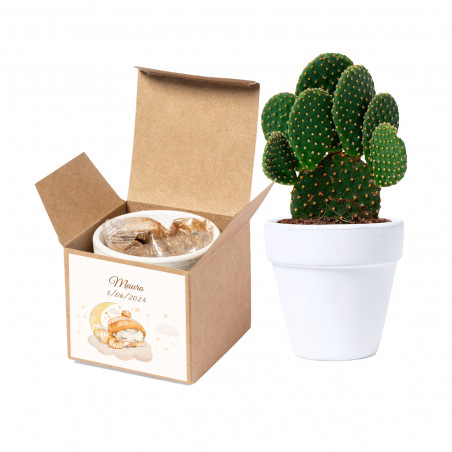 Pot avec des graines de cactus dans une boîte personnalisée pour baptêmes