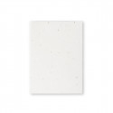 Bloc-notes éco avec des couvertures en graines à planter dans une enveloppe kraft personnalisée pour les détails des fêtes et