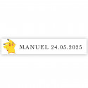 Autocollant Pokémon pour personnaliser des détails