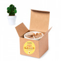 Pot en terracotta avec des graines de cactus et un adhésif d amitié à offrir
