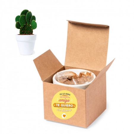Pot en terracotta avec des graines de cactus et un adhésif d amitié à offrir