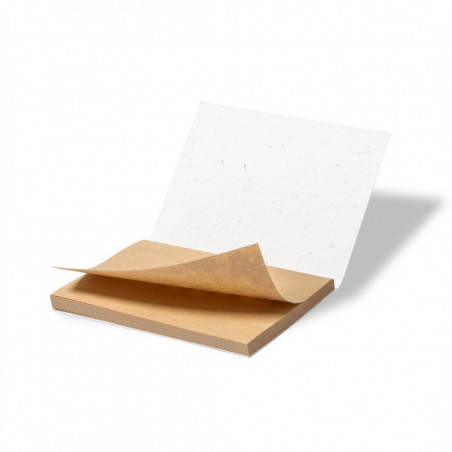 Bloc-notes éco avec des couvertures en graines à planter dans une enveloppe kraft personnalisée pour les détails des fêtes et