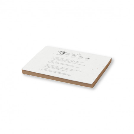 Bloc-notes éco avec des couvertures en graines à planter dans une enveloppe kraft personnalisée pour les détails des fêtes et