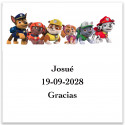 Adhésif personnalisé Patrulla Canina 5x5 cm pour décoration enfantine