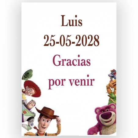 Jeux de compétences Toy Story à offrir