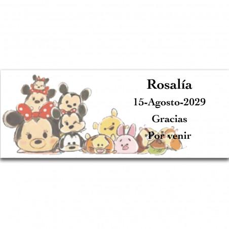 Groupe Disney, autocollant personnalisé avec fond blanc 13x5cm horizontal