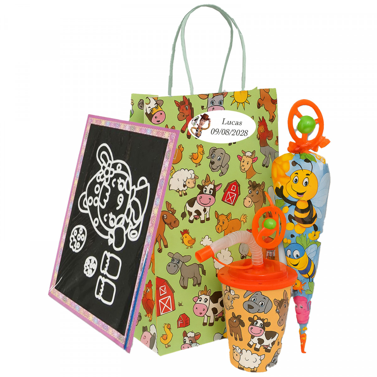 Toy story pack cadeaux invités pour enfants lors des événements