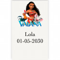 Vaiana moana autocollant personnalisé vertical transparent de 3x5cm