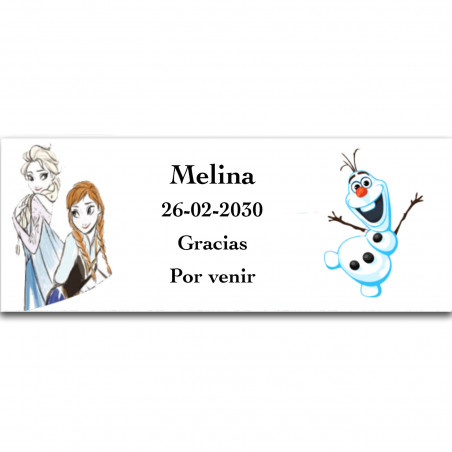 Frozen sac piñata avec des articles personnalisés pour jouer