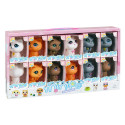 Gabby Gato, pack cadeau avec articles de divertissement