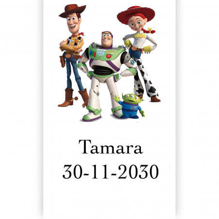 Détail thématique pour les enfants de toy story avec des jeux éducatifs et des bonbons