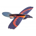 Aile delta d oiseau