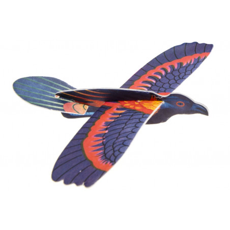 Aile delta d oiseau