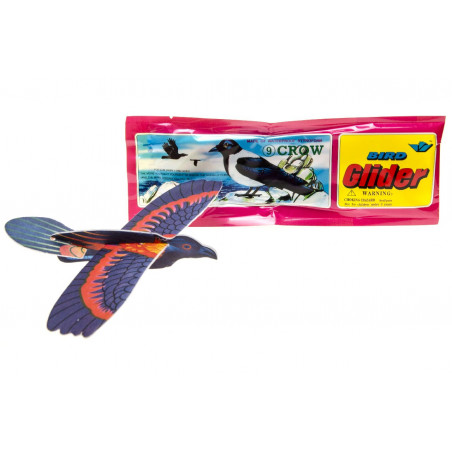 Aile delta d oiseau