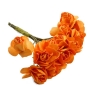 Petite fleur orange