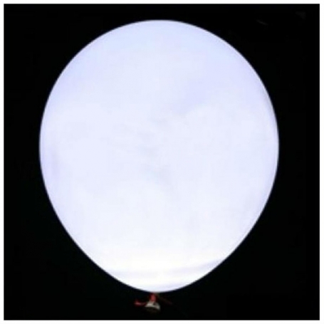 Globes LED blancs