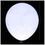 Globes LED blancs