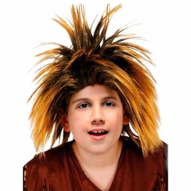 perruque deguisement homme