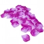 Pétales de Rose Artificiels en Couleur Fuchsia pour la Décoration d'Événements