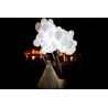 Cadeaux et décorations avec LED pour mariages